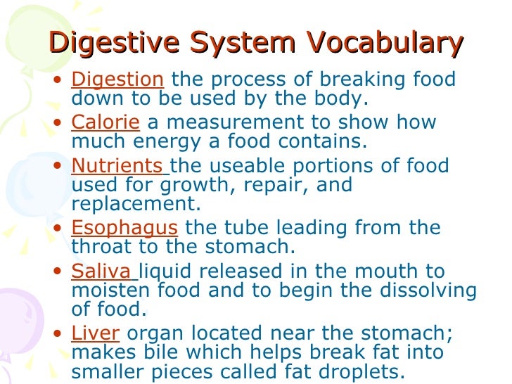 Digestive System Power Point