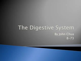  The Digestive System  By John Chua 8-73 