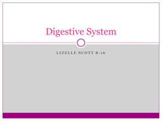 Lizelle Scott 8-16 Digestive System 