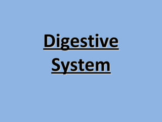 DigestiveDigestive
SystemSystem
 