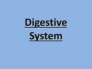 Digestive
System
 