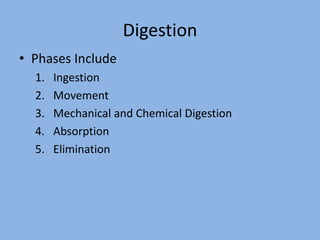 Digestion
• Phases Include
1. Ingestion
2. Movement
3. Mechanical and Chemical Digestion
4. Absorption
5. Elimination
 