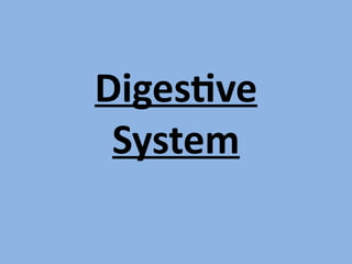 Digestiee 
System
 