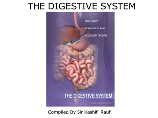 THE DIGESTIVE SYSTEM
Compiled By Sir Kashif Rauf
 