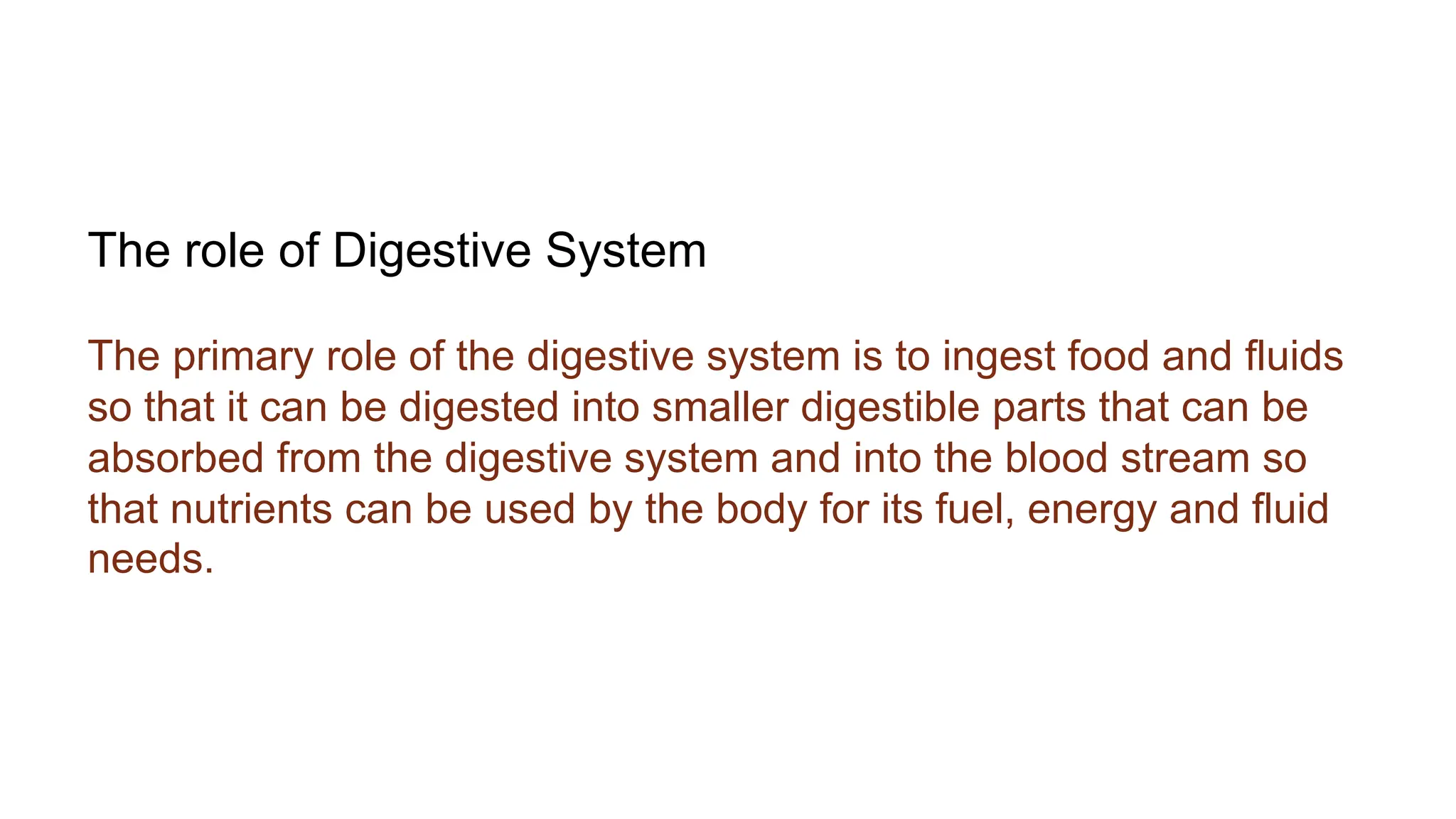 the digestive system overview and introduction | PPT