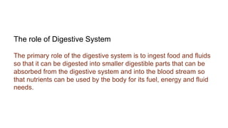 The role of Digestive System
The primary role of the digestive system is to ingest food and fluids
so that it can be digested into smaller digestible parts that can be
absorbed from the digestive system and into the blood stream so
that nutrients can be used by the body for its fuel, energy and fluid
needs.