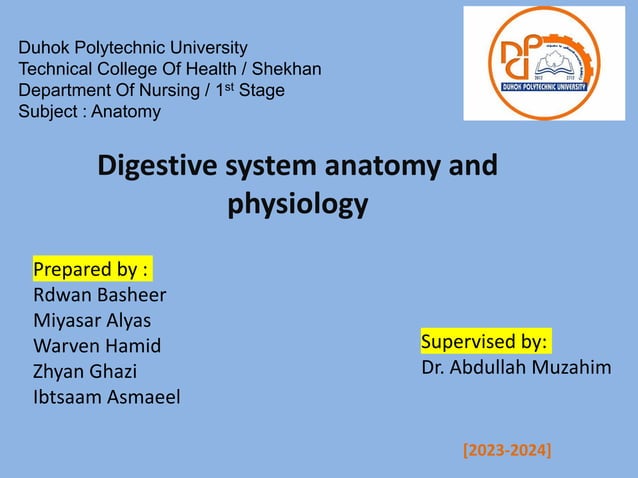 Digestive System PPT.pdf................ | PDF | Digestive Disorders ...