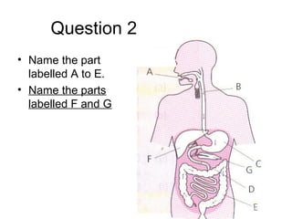 Question 2
• Name the part
labelled A to E.
• Name the parts
labelled F and G
 