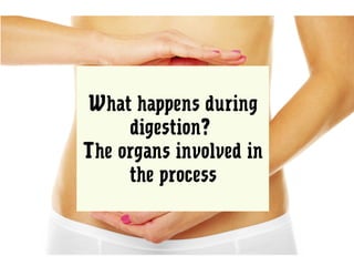 What happens during
digestion?
The organs involved in
the process
 