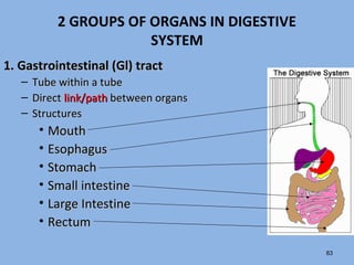 2 GROUPS OF ORGANS IN DIGESTIVE
SYSTEM
1. Gastrointestinal (Gl) tract1. Gastrointestinal (Gl) tract
– Tube within a tubeTube within a tube
– DirectDirect link/pathlink/path between organsbetween organs
– StructuresStructures
• MouthMouth
• EsophagusEsophagus
• StomachStomach
• Small intestineSmall intestine
• Large IntestineLarge Intestine
• RectumRectum
83
 