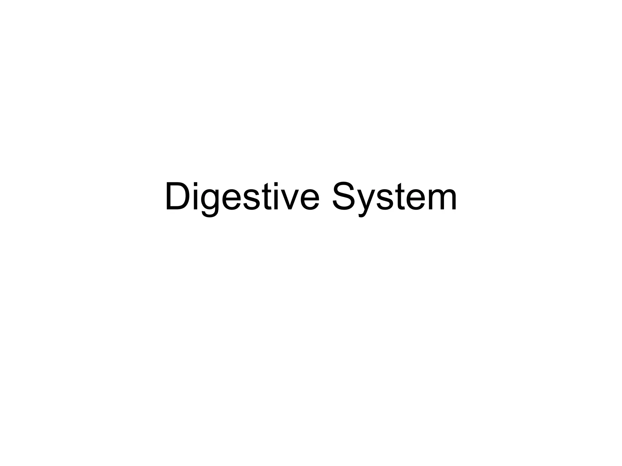 Digestive System
 