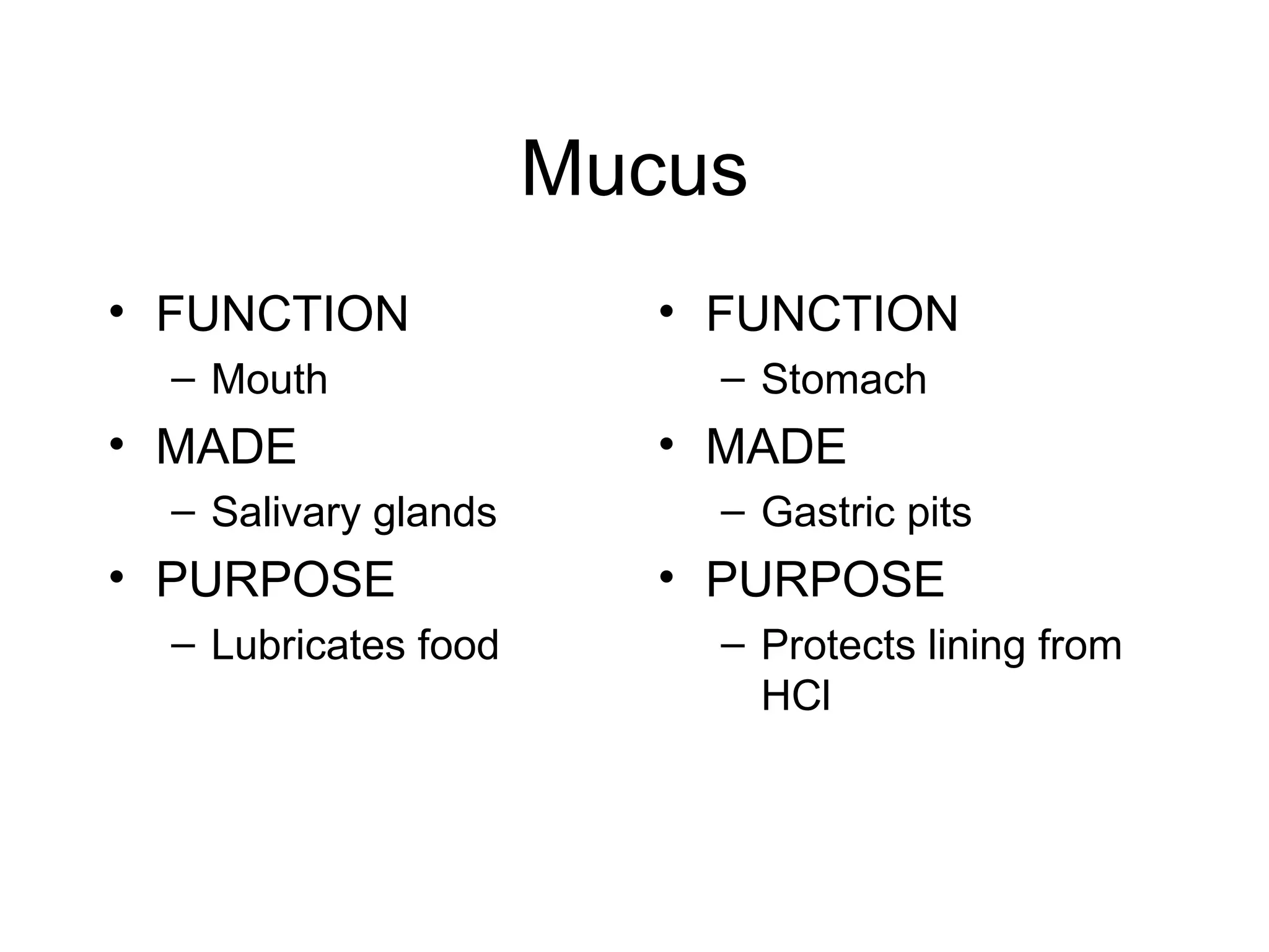 Mucus
• FUNCTION               • FUNCTION
  – Mouth                  – Stomach
• MADE                   • MADE
  – Salivary glands        – Gastric pits
• PURPOSE                • PURPOSE
  – Lubricates food        – Protects lining from
                             HCl
 