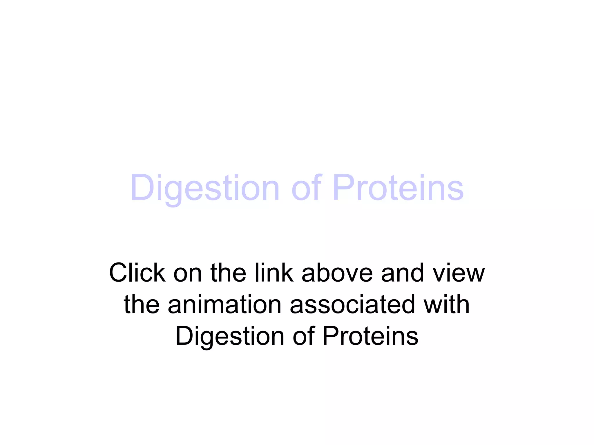 Digestion of Proteins

Click on the link above and view
 the animation associated with
      Digestion of Proteins
 