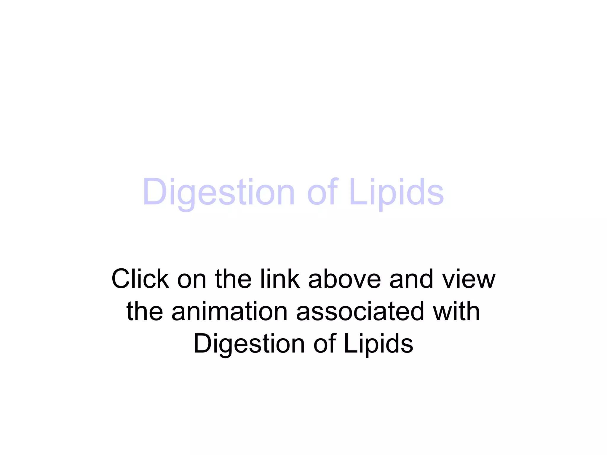 Digestion of Lipids

Click on the link above and view
 the animation associated with
       Digestion of Lipids
 