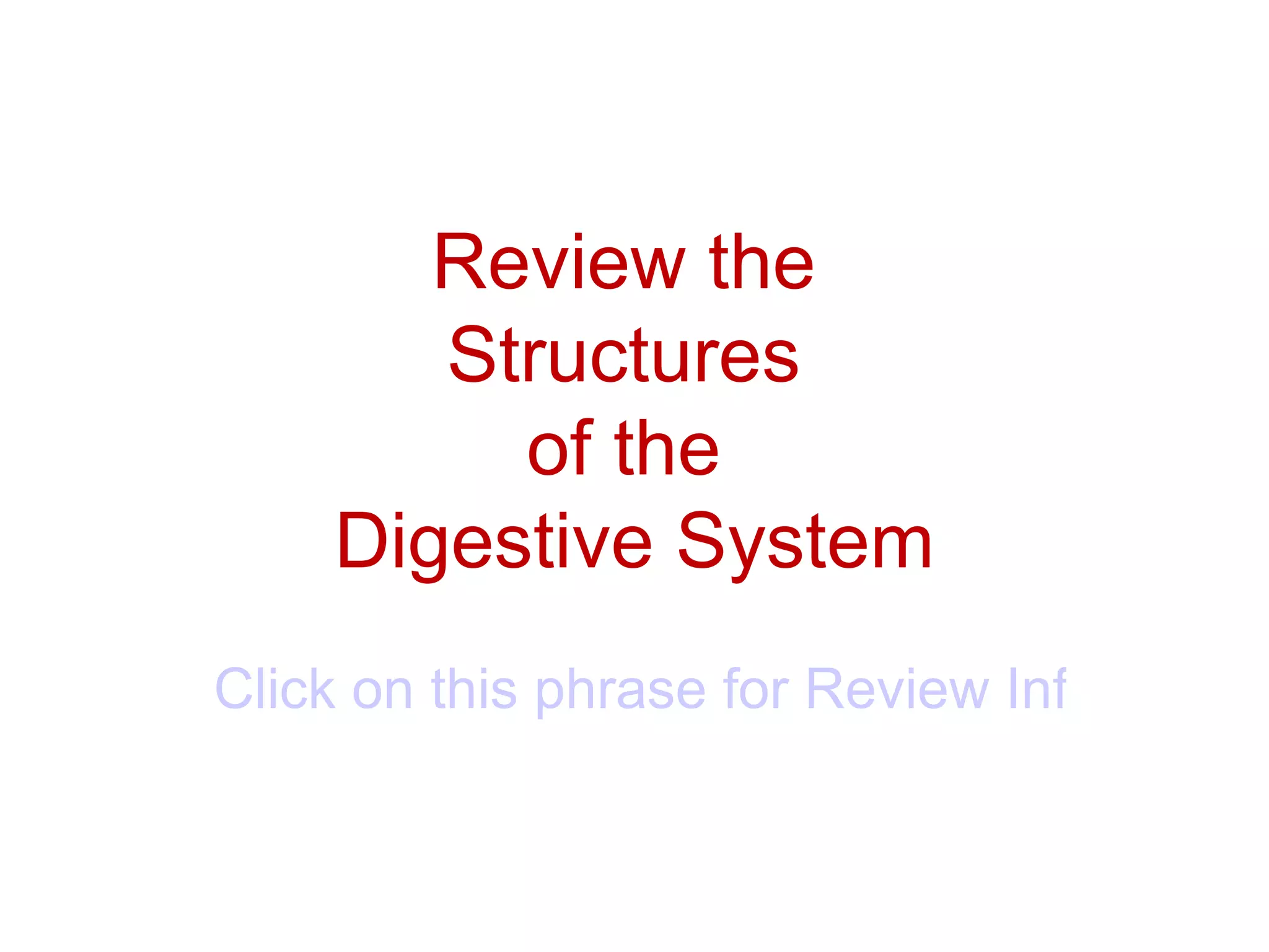 Review the
       Structures
         of the
    Digestive System
Click on this phrase for Review Information
 