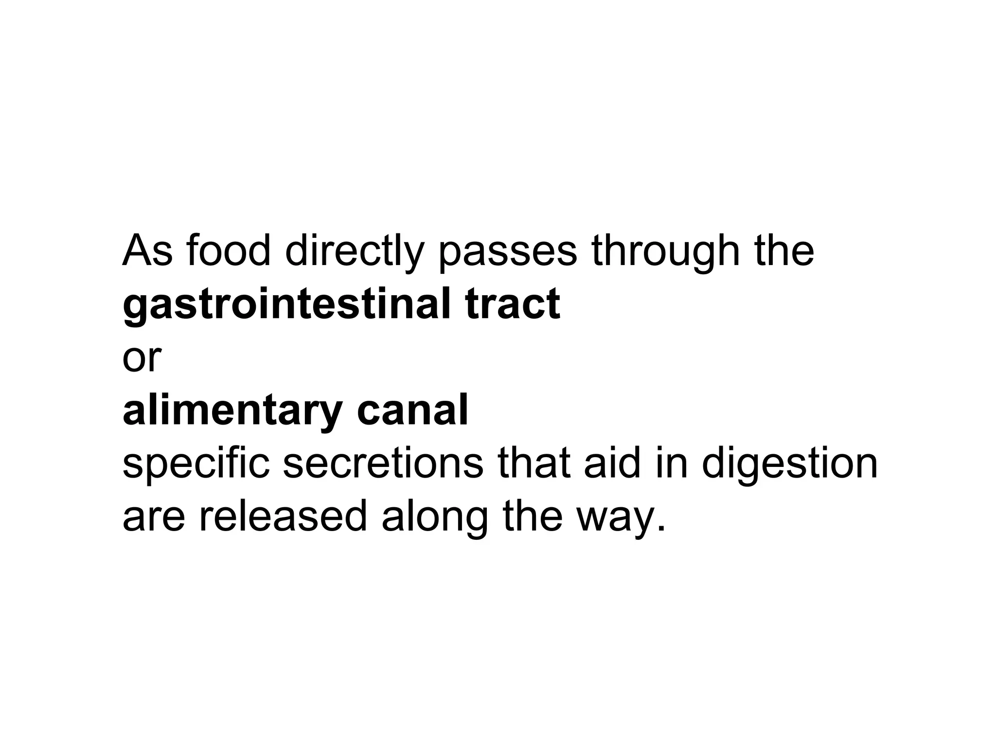 As food directly passes through the
gastrointestinal tract
or
alimentary canal
specific secretions that aid in digestion
are released along the way.
 