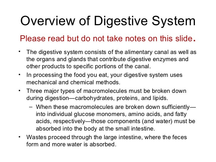 Digestive System Ppt
