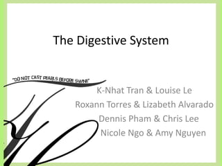 The Digestive System


       K-Nhat Tran & Louise Le
   Roxann Torres & Lizabeth Alvarado
        Dennis Pham & Chris Lee
        Nicole Ngo & Amy Nguyen
 