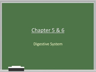 Chapter 5 & 6 Digestive System 