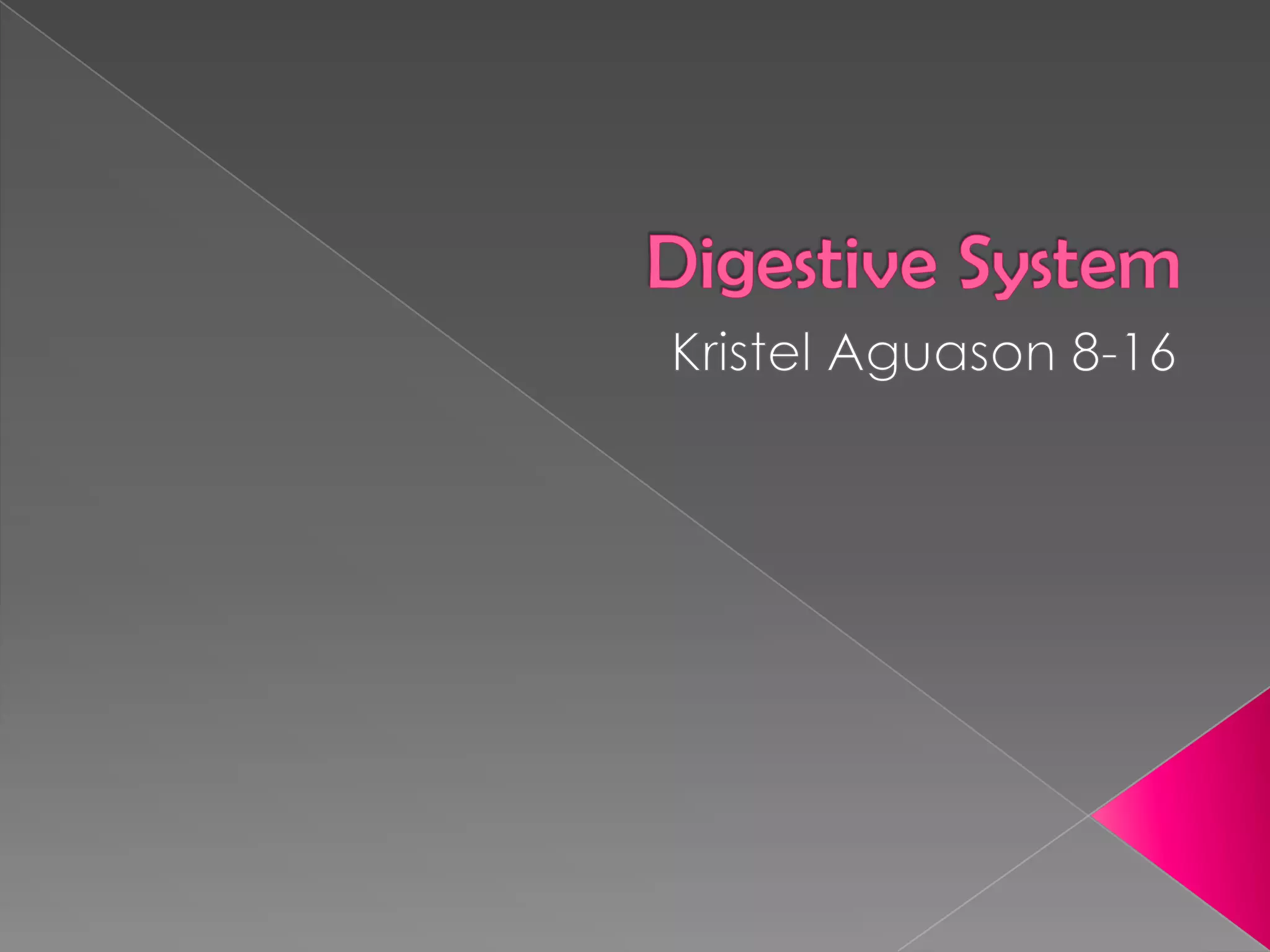 Digestive system presentation | PPTX