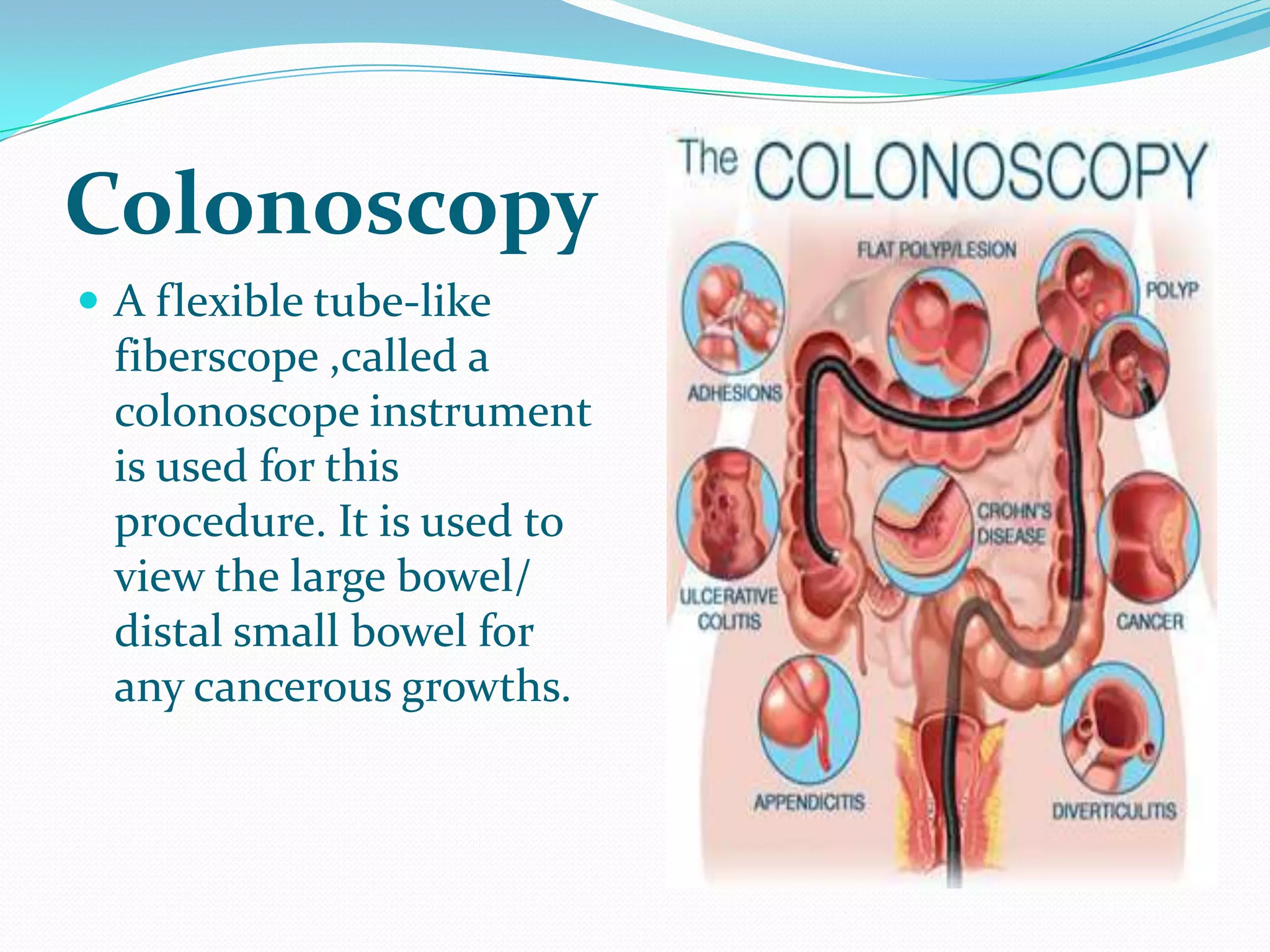 Digestive system presentation#8 | PPTX