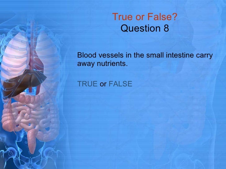 Digestive System Quiz