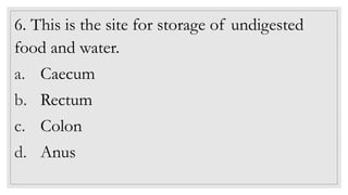 6. This is the site for storage of undigested
food and water.
a. Caecum
b. Rectum
c. Colon
d. Anus
 