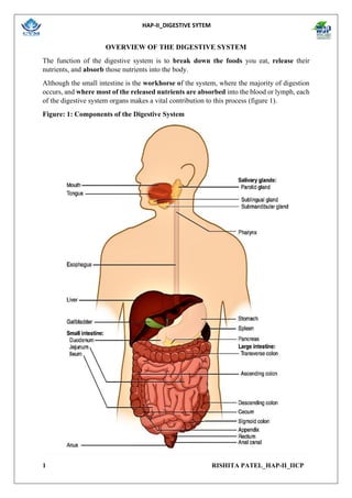 HAP-II_DIGESTIVE SYTEM
1 RISHITA PATEL_HAP-II_IICP
OVERVIEW OF THE DIGESTIVE SYSTEM
The function of the digestive system is to break down the foods you eat, release their
nutrients, and absorb those nutrients into the body.
Although the small intestine is the workhorse of the system, where the majority of digestion
occurs, and where most of the released nutrients are absorbed into the blood or lymph, each
of the digestive system organs makes a vital contribution to this process (figure 1).
Figure: 1: Components of the Digestive System
 