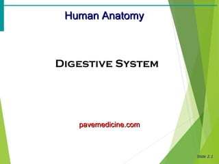 Slide 2.1
Human AnatomyHuman Anatomy
Digestive System
pavemedicine.compavemedicine.com
 