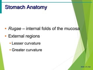 Digestive systems | PPT