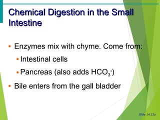 Digestive systems | PPT