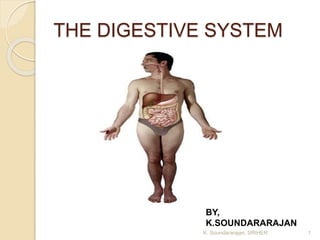 THE DIGESTIVE SYSTEM
BY,
K.SOUNDARARAJAN
K. Soundararajan, SRIHER 1
 