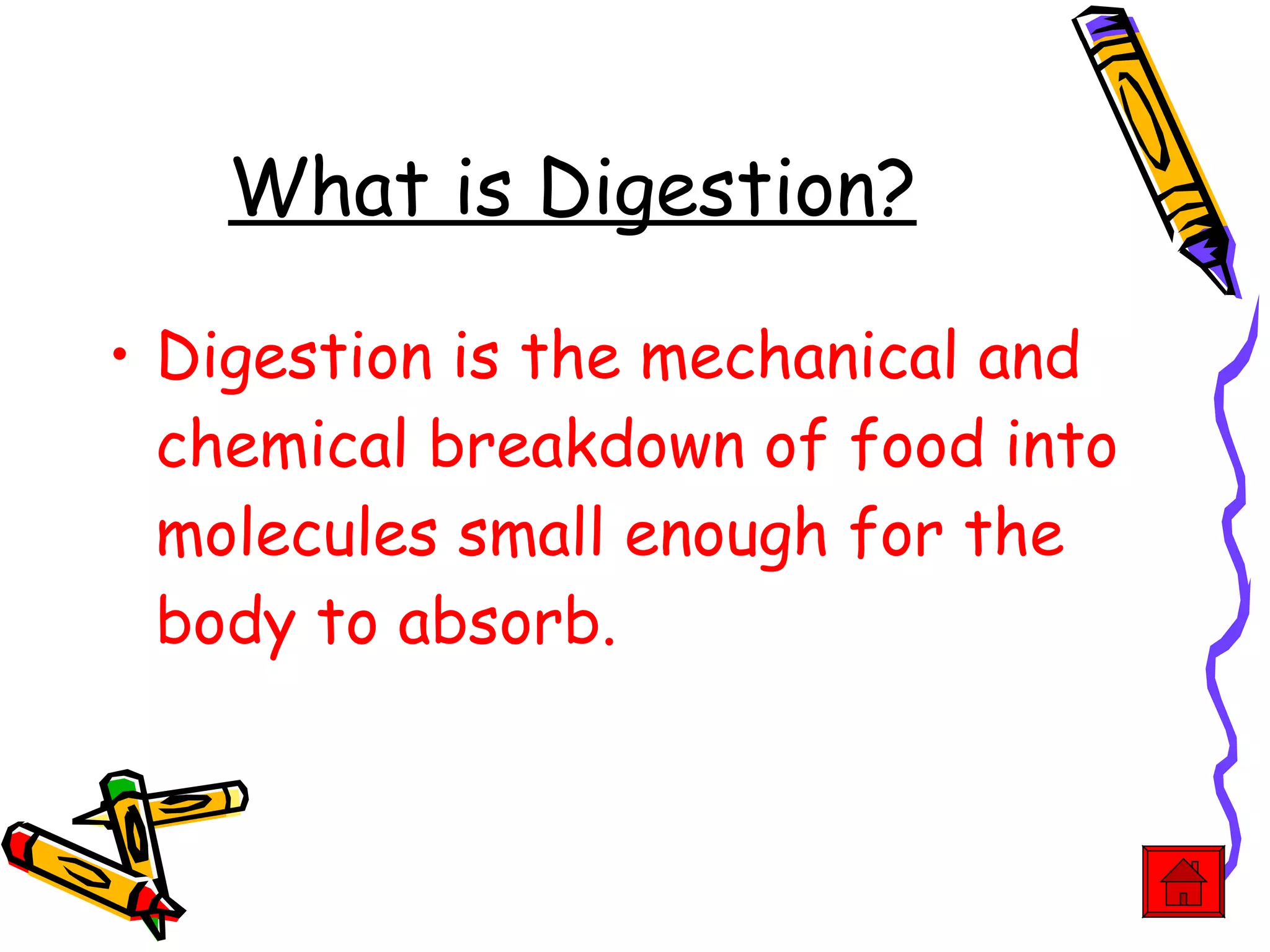 What is Digestion? Digestion is the mechanical and chemical breakdown of food into molecules small enough for the body to absorb. 