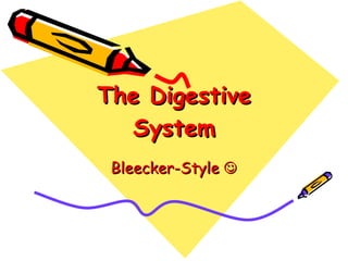 The Digestive System Bleecker-Style   