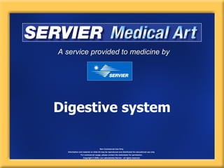 A service provided to medicine by




Digestive system

                                      Non Commercial Use Only
   Information and material on slide kit may be reproduced and distributed for educational use only
                For commercial usage, please contact the webmaster for permission.
                   Copyright © 2006, Les Laboratoires Servier - all rights reserved.
 