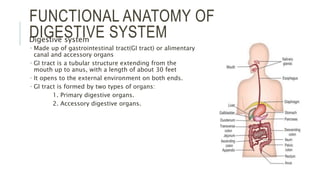 Digestive System Primary Structures DIGESTIVE SYSTEN INTRODUCTION.pptx GIT PHYSIOLOGY | PPTX