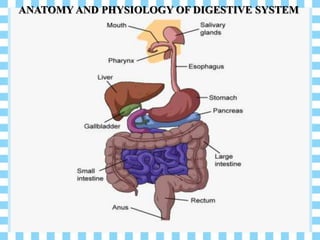 ANATOMY AND PHYSIOLOGY OF DIGESTIVE SYSTEM
 