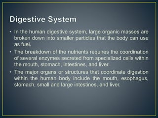 • In the human digestive system, large organic masses are
broken down into smaller particles that the body can use
as fuel.
• The breakdown of the nutrients requires the coordination
of several enzymes secreted from specialized cells within
the mouth, stomach, intestines, and liver.
• The major organs or structures that coordinate digestion
within the human body include the mouth, esophagus,
stomach, small and large intestines, and liver.
 