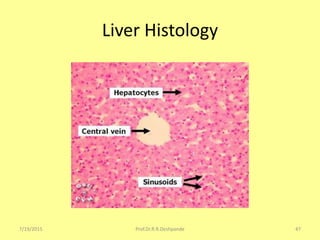 Liver Histology
7/19/2015 47Prof.Dr.R.R.Deshpande
 