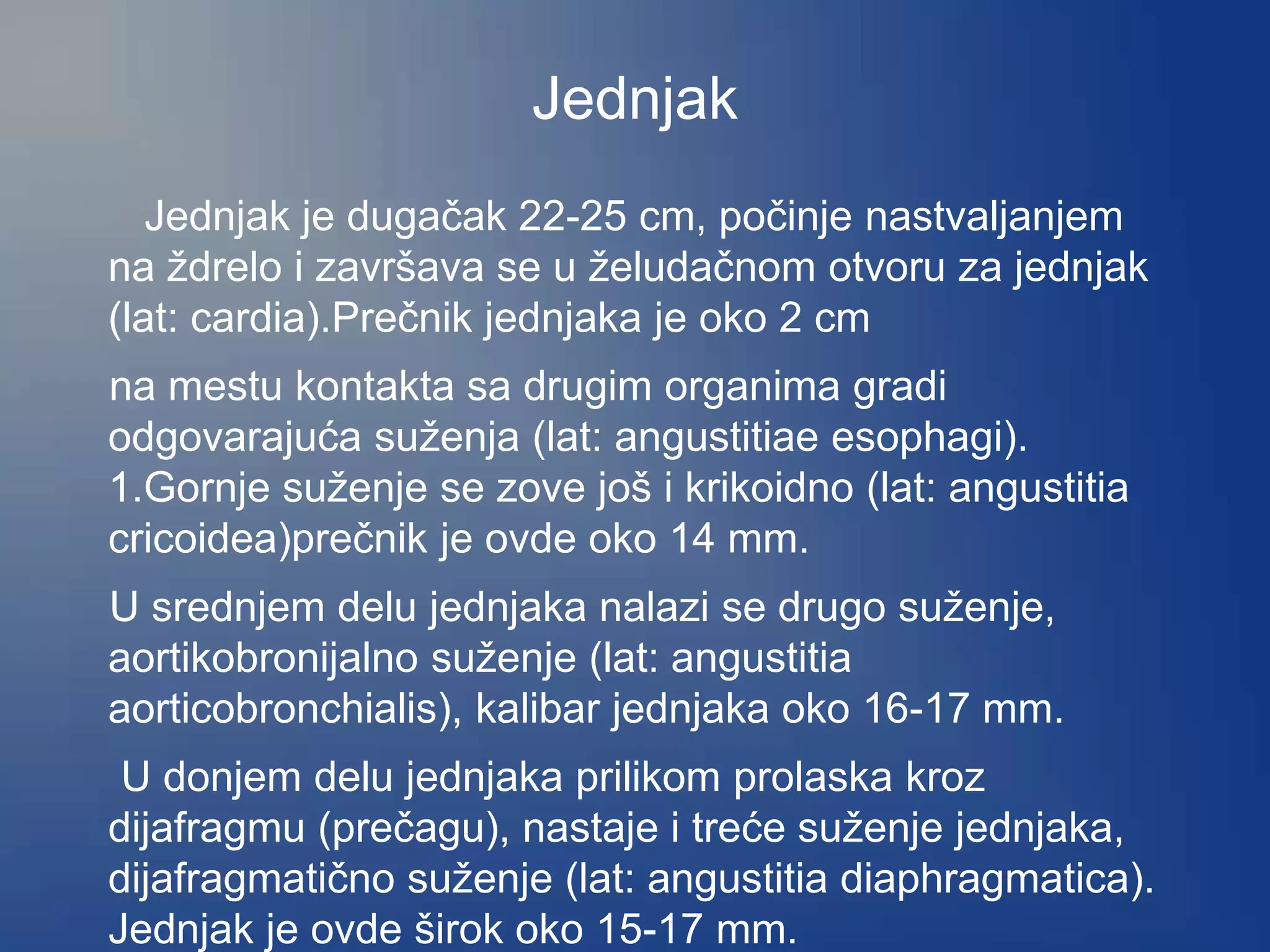 Jednjak
Jednjak je dugačak 22-25 cm, počinje nastvaljanjem
na ždrelo i završava se u želudačnom otvoru za jednjak
(lat: cardia).Prečnik jednjaka je oko 2 cm
na mestu kontakta sa drugim organima gradi
odgovarajuća suženja (lat: angustitiae esophagi).
1.Gornje suženje se zove još i krikoidno (lat: angustitia
cricoidea)prečnik je ovde oko 14 mm.
U srednjem delu jednjaka nalazi se drugo suženje,
aortikobronijalno suženje (lat: angustitia
aorticobronchialis), kalibar jednjaka oko 16-17 mm.
U donjem delu jednjaka prilikom prolaska kroz
dijafragmu (prečagu), nastaje i treće suženje jednjaka,
dijafragmatično suženje (lat: angustitia diaphragmatica).
Jednjak je ovde širok oko 15-17 mm.
 