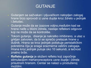 GUTANJE
• Gutanjem se sažvakan i pljuvačkom natopljen zalogaj
hrane brzo sprovodi iz usne duplje kroz ždrelo u jednjak
i želudac.
• Gutanje može da se izazove voljno,međutim kad se
hrana nađe u blizini ždrela, nastaje refleksni odgovor
koji ne može da se kontroliše.
• Tokom gutanja, disanje je nakratko inhibirano, a ulaz u
grkljan zatvoren, da bi se sprečio prelazak hrane u
dušnik. Hrana se kroz jednjak potiskuje peristaltičkim
pokretima čija je snaga srazmerna veličini zalogaja.
Hrana kroz jednjak putuje oko 10 sekundi, a tečnost
znatno brže.
• Refleks gutanja je složeni refleks koji započinje
stimulacijom mehanoreceptora usne duplje i ždrela
prisutnom hranom. Centar se nalazi u produženoj
moždini.
 