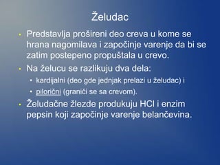 Želudac
• Predstavlja prošireni deo creva u kome se
hrana nagomilava i započinje varenje da bi se
zatim postepeno propuštala u crevo.
• Na želucu se razlikuju dva dela:
• kardijalni (deo gde jednjak prelazi u želudac) i
• pilorični (graniči se sa crevom).
• Želudačne žlezde produkuju HCl i enzim
pepsin koji započinje varenje belančevina.
 