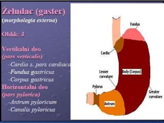 Row 1 Row 2 Row 3 Row 4
0
2
4
6
8
10
12
Column 1
Column 2
Column 3
 