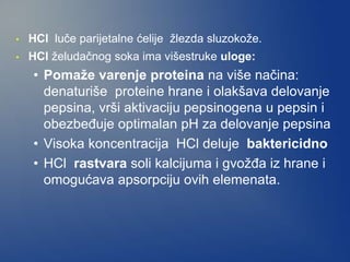 • HCl luče parijetalne ćelije žlezda sluzokože.
• HCl želudačnog soka ima višestruke uloge:
• Pomaže varenje proteina na više načina:
denaturiše proteine hrane i olakšava delovanje
pepsina, vrši aktivaciju pepsinogena u pepsin i
obezbeđuje optimalan pH za delovanje pepsina
• Visoka koncentracija HCl deluje baktericidno
• HCl rastvara soli kalcijuma i gvožđa iz hrane i
omogućava apsorpciju ovih elemenata.
 