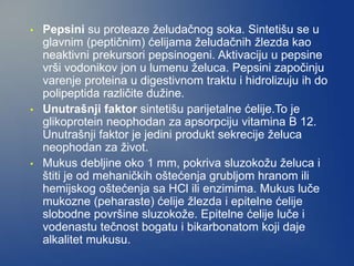 • Pepsini su proteaze želudačnog soka. Sintetišu se u
glavnim (peptičnim) ćelijama želudačnih žlezda kao
neaktivni prekursori pepsinogeni. Aktivaciju u pepsine
vrši vodonikov jon u lumenu želuca. Pepsini započinju
varenje proteina u digestivnom traktu i hidrolizuju ih do
polipeptida različite dužine.
• Unutrašnji faktor sintetišu parijetalne ćelije.To je
glikoprotein neophodan za apsorpciju vitamina B 12.
Unutrašnji faktor je jedini produkt sekrecije želuca
neophodan za život.
• Mukus debljine oko 1 mm, pokriva sluzokožu želuca i
štiti je od mehaničkih oštećenja grubljom hranom ili
hemijskog oštećenja sa HCl ili enzimima. Mukus luče
mukozne (peharaste) ćelije žlezda i epitelne ćelije
slobodne površine sluzokože. Epitelne ćelije luče i
vodenastu tečnost bogatu i bikarbonatom koji daje
alkalitet mukusu.
 