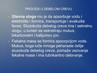 PROCESI U DEBELOM CREVU
• Glavna uloga mu je da apsorbuje vodu i
elektrolite i formira, transportuje i evakuiše
feces. Sluzokoža debelog creva ima i sekretnu
ulogu; u lumen se sekretiraju mukus,
bikarbonatni i kalijumov jon.
• Fekalna masa se formira apsorpcijom vode.
Mukus, koga luče mnoge peharaste ćelije
sluzokože debelog creva, pomaže vezivanje
fekalne mase i ima lubrikantno delovanje.
 