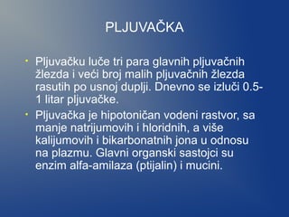 PLJUVAČKA
•

•

Pljuvačku luče tri para glavnih pljuvačnih
žlezda i veći broj malih pljuvačnih žlezda
rasutih po usnoj duplji. Dnevno se izluči 0.51 litar pljuvačke.
Pljuvačka je hipotoničan vodeni rastvor, sa
manje natrijumovih i hloridnih, a više
kalijumovih i bikarbonatnih jona u odnosu
na plazmu. Glavni organski sastojci su
enzim alfa-amilaza (ptijalin) i mucini.

 