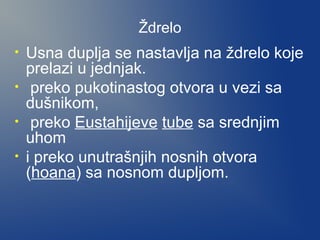 Ždrelo
•
•
•
•

Usna duplja se nastavlja na ždrelo koje
prelazi u jednjak.
preko pukotinastog otvora u vezi sa
dušnikom,
preko Eustahijeve tube sa srednjim
uhom
i preko unutrašnjih nosnih otvora
(hoana) sa nosnom dupljom.

 