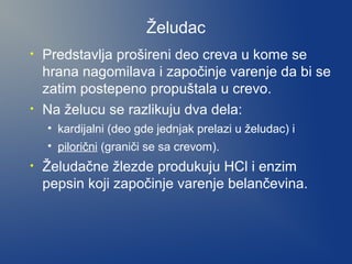 Želudac
•

•

Predstavlja prošireni deo creva u kome se
hrana nagomilava i započinje varenje da bi se
zatim postepeno propuštala u crevo.
Na želucu se razlikuju dva dela:
• kardijalni (deo gde jednjak prelazi u želudac) i
• pilorični (graniči se sa crevom).

•

Želudačne žlezde produkuju HCl i enzim
pepsin koji započinje varenje belančevina.

 
