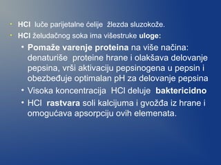 •

HCl luče parijetalne ćelije žlezda sluzokože.

•

HCl želudačnog soka ima višestruke uloge:

• Pomaže varenje proteina na više načina:
denaturiše proteine hrane i olakšava delovanje
pepsina, vrši aktivaciju pepsinogena u pepsin i
obezbeđuje optimalan pH za delovanje pepsina
• Visoka koncentracija HCl deluje baktericidno
• HCl rastvara soli kalcijuma i gvožđa iz hrane i
omogućava apsorpciju ovih elemenata.

 